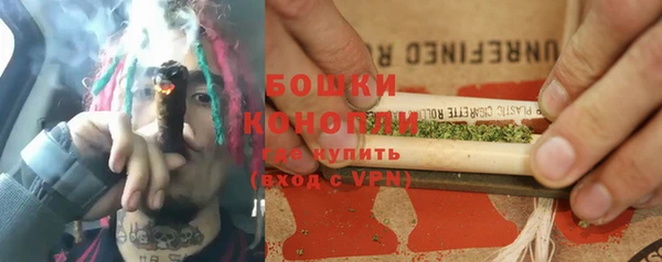 ГАЛЛЮЦИНОГЕННЫЕ ГРИБЫ Балахна