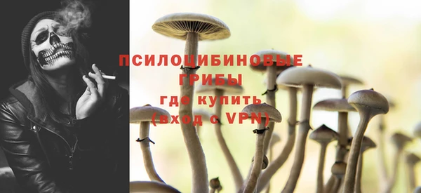 ГАЛЛЮЦИНОГЕННЫЕ ГРИБЫ Балахна