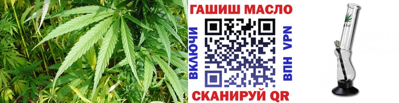где купить наркоту  Заречный  ТГК вейп 