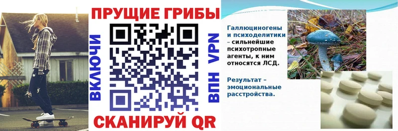 закладки  Заречный  Галлюциногенные грибы прущие грибы 